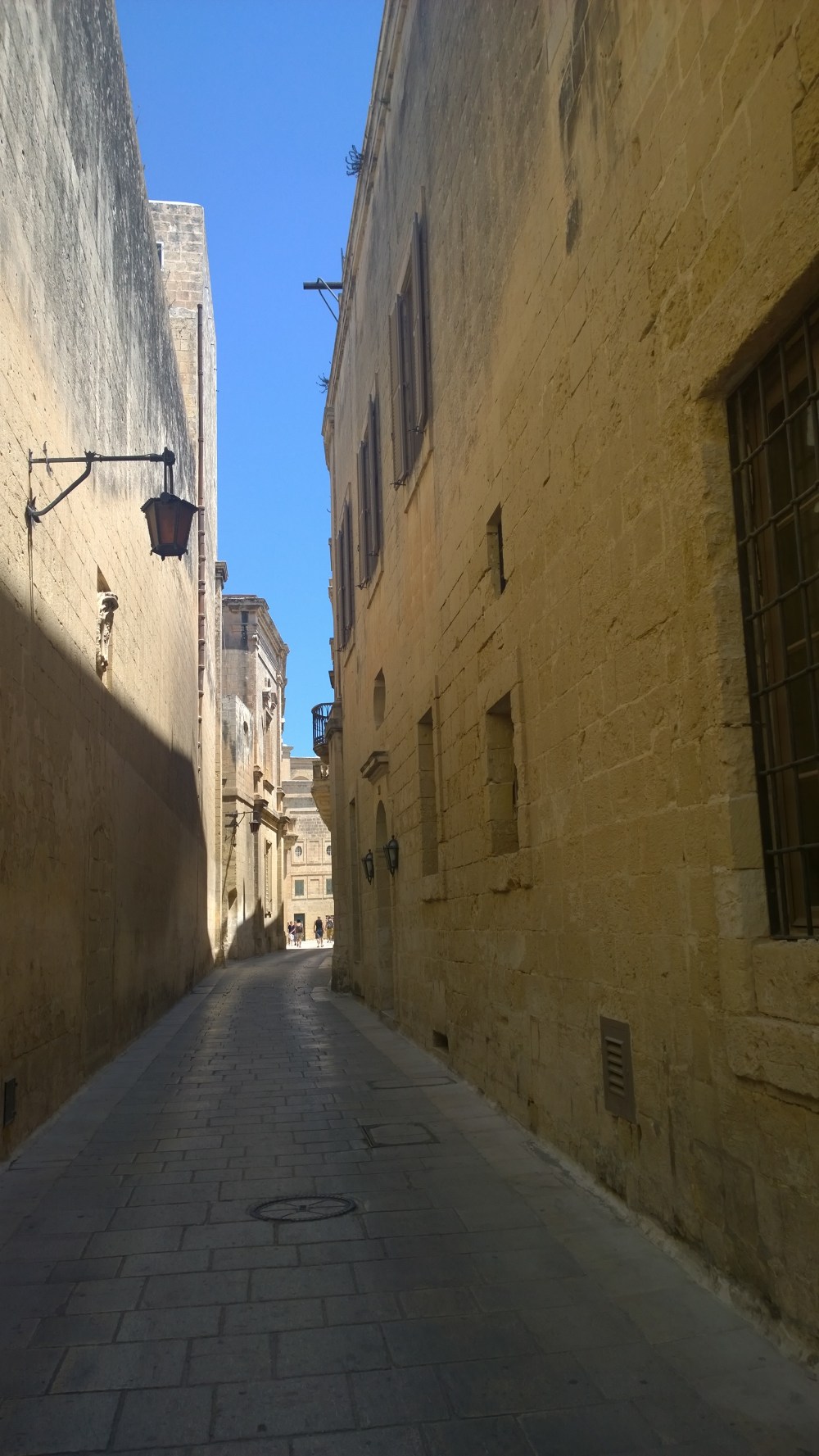 WP_20140718_10_57_18_Pro