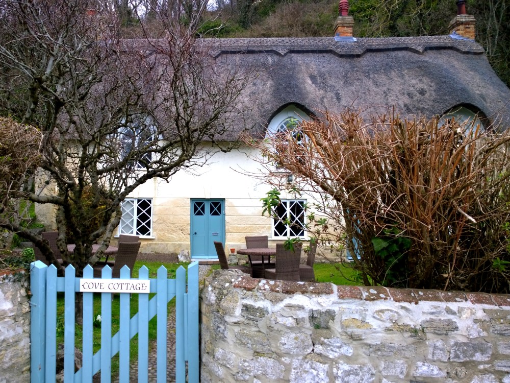 WP_20150307_16_28_19_Pro