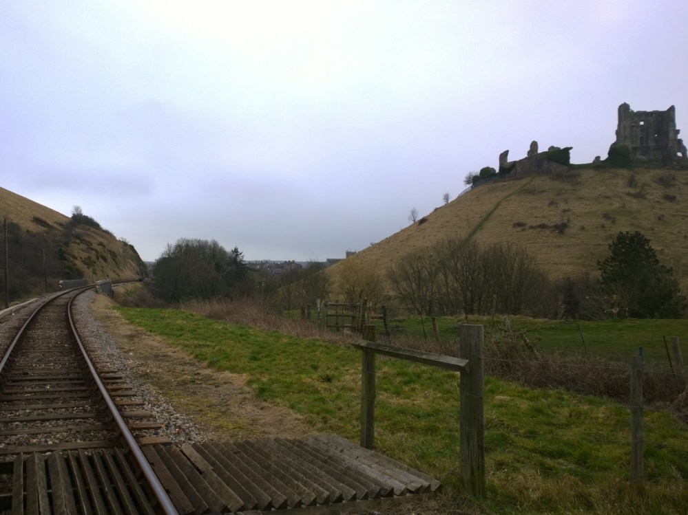 WP_20150308_09_49_53_Pro