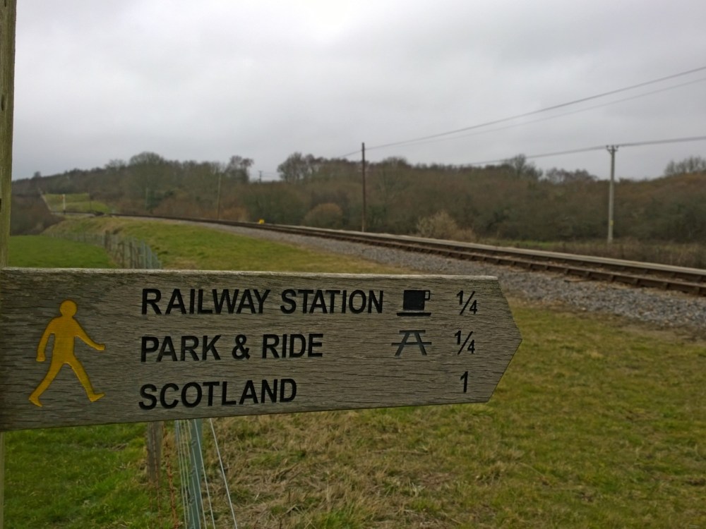 WP_20150308_09_52_53_Pro 1