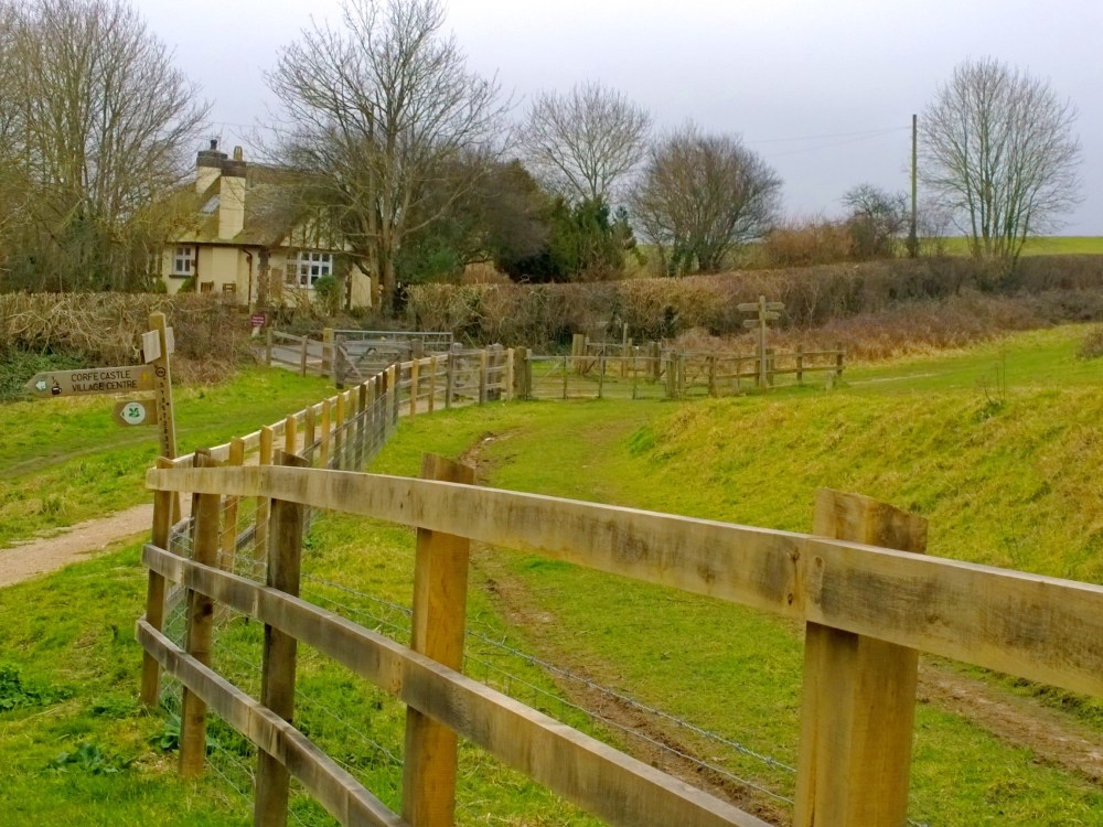 WP_20150308_10_02_32_Pro 1