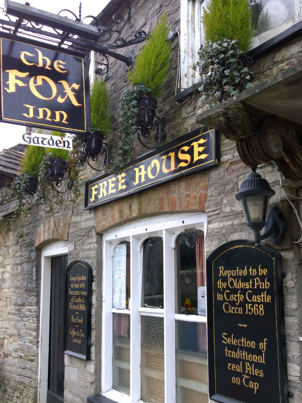 WP_20150308_10_45_07_Pro