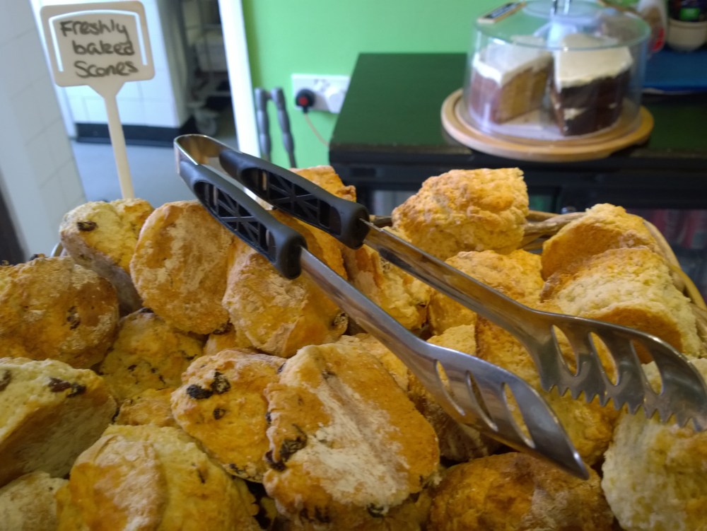 WP_20150308_10_55_35_Pro