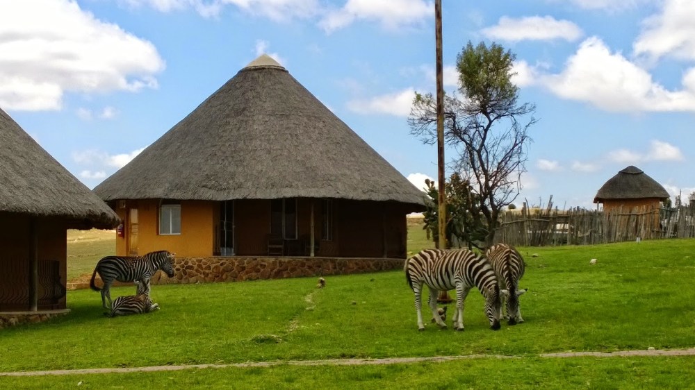 1a2f9-wp_20131026_11_28_56_pro