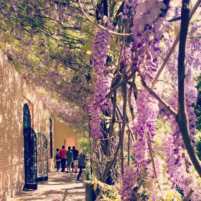 FB_IMG_1434813409088